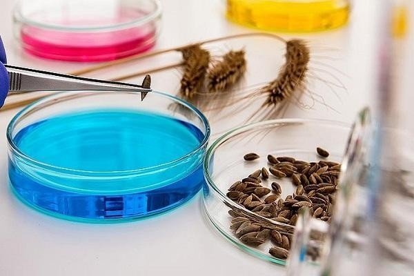 Микробиологическая лаборатория чашки петри эстетика