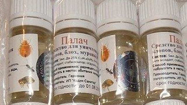 Инсектицид Палач от клопов: цена, где купить и как правильно пользоваться препаратом для истребления кровопийц