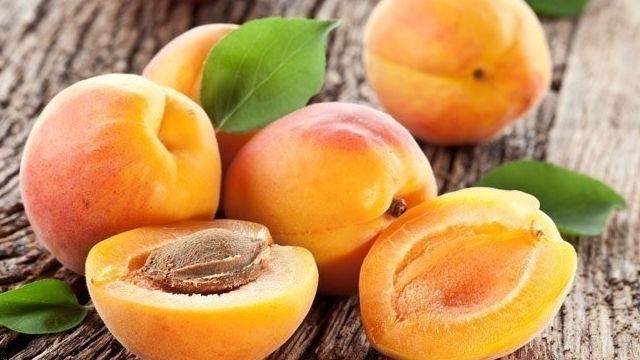 Как вырастить абрикос в Подмосковье из косточки