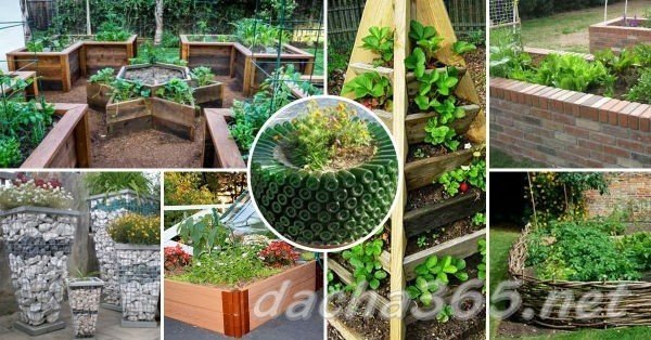 Идеи для сада и огорода