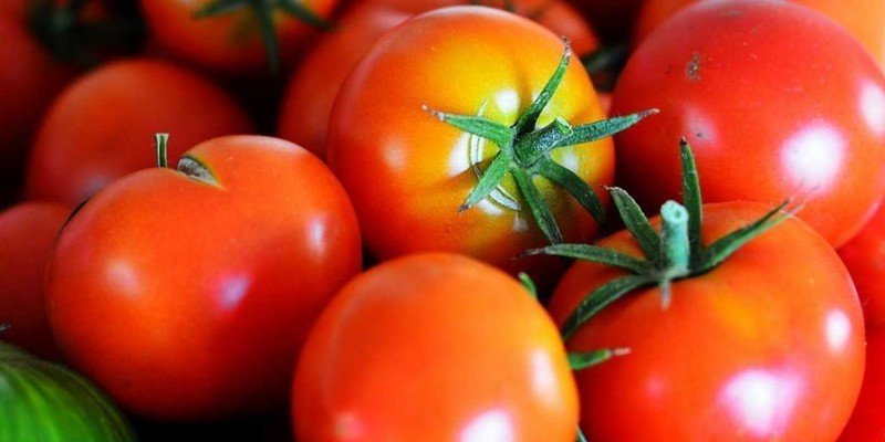 Генномодифицированные помидоры