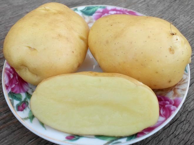 Сорт картофеля зекура