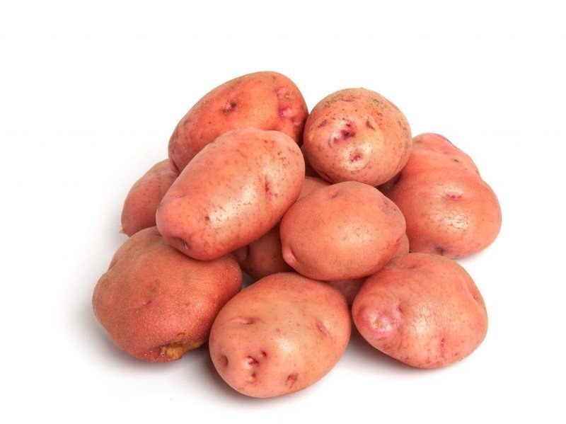 Сорт картофеля беллароза