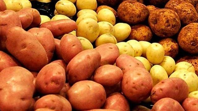 Сроки созревания картофеля по сортам