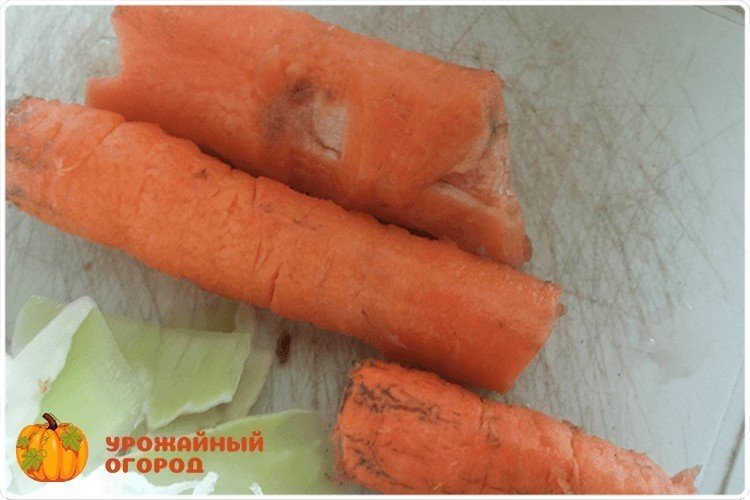 Морковка внутри