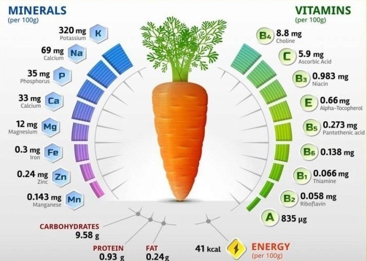 Витамины и минералы в моркове