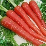 Atomic red carrot
