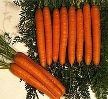 Морковь монастырский сорт