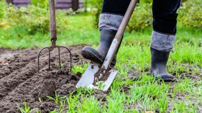 Лопата копать огород
