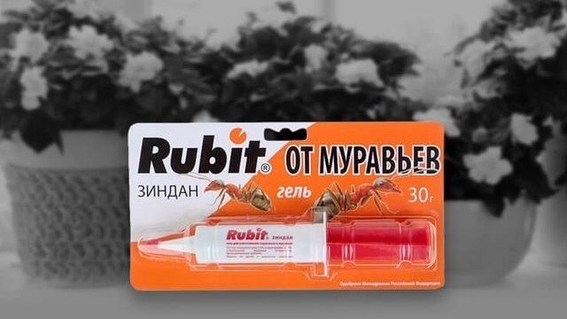 «Рубит» – популярный гель от тараканов и муравьев