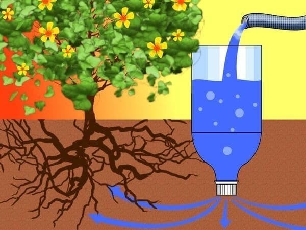 Система капельного полива своими руками из пластиковых бутылок