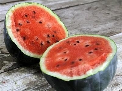 Selective breeding watermelon