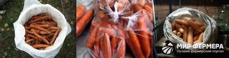 Хранение моркови в полиэтиленовых пакетах