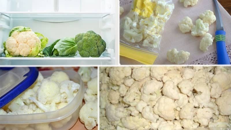 Хранение цветной капусты в холодильнике