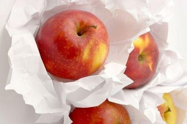 Сроки сбора яблок на хранение