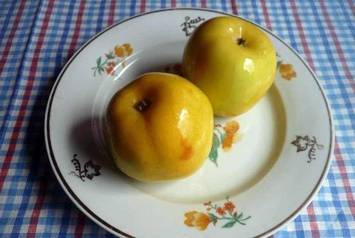 Мочёные яблоки рецепт в домашних условиях